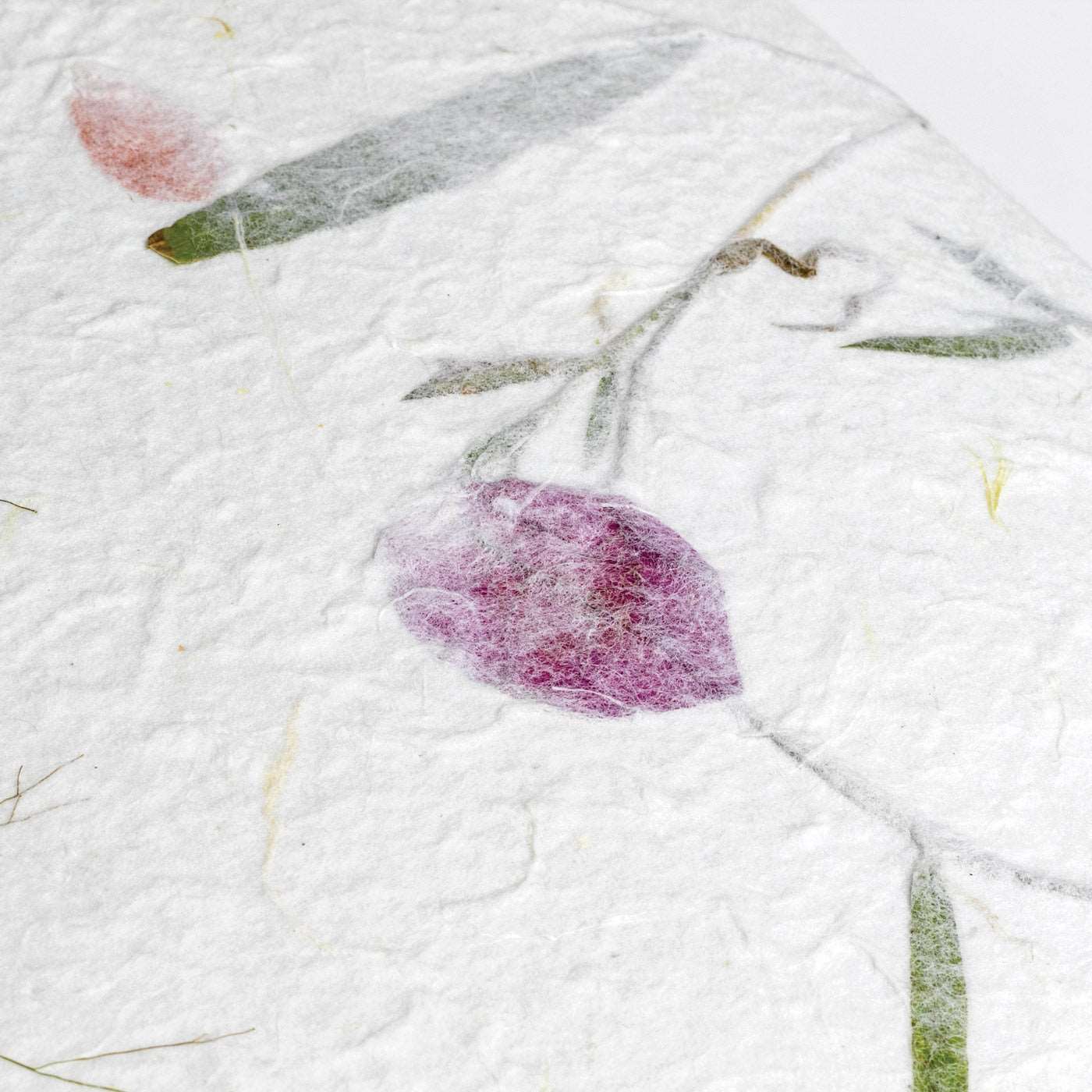 Album fotografici 20 pagine con copertina in carta di riso Fotorecord