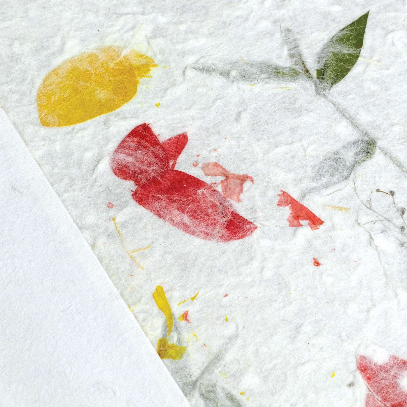 Album fotografici 20 pagine con copertina in carta di riso Fotorecord