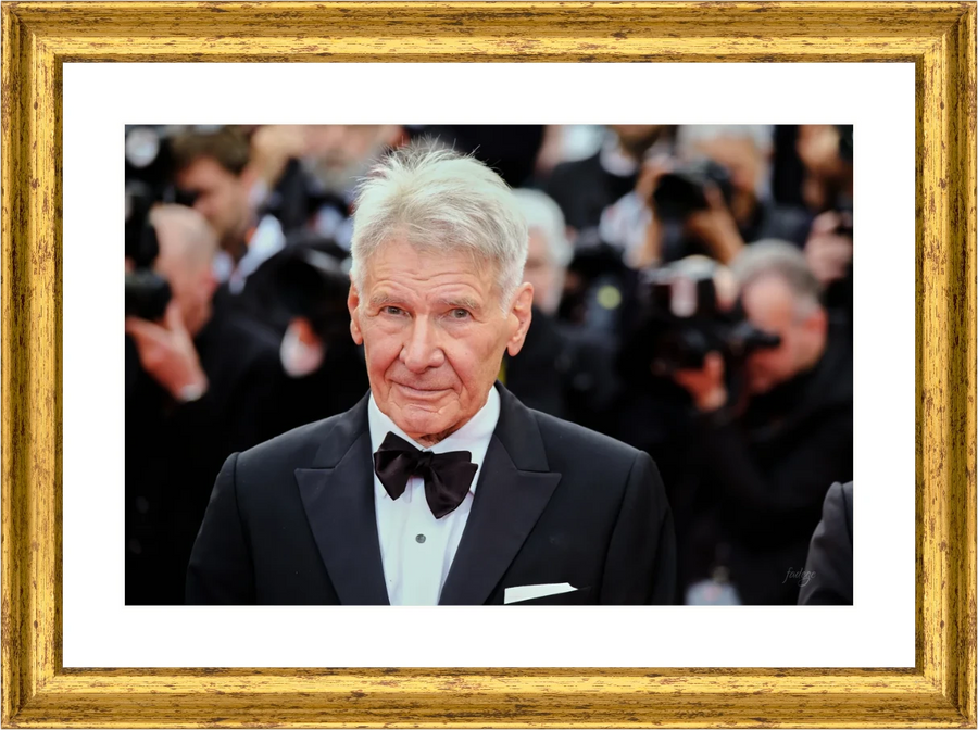 Harrison Ford, Red Carpet — Fabrizio de Gennaro