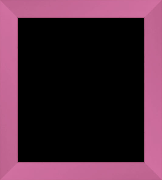 21ROSA_Large_frameOnly