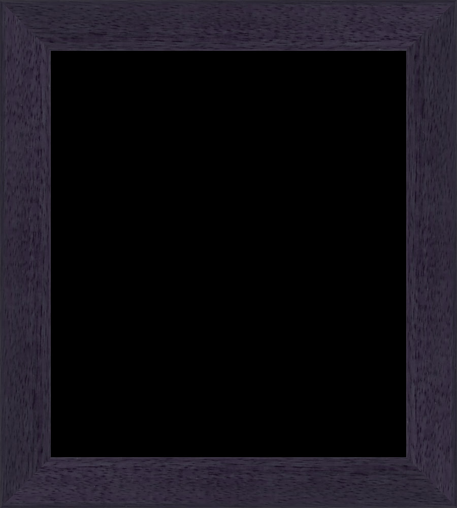 53543VIOLA-Q_Large_frameOnly