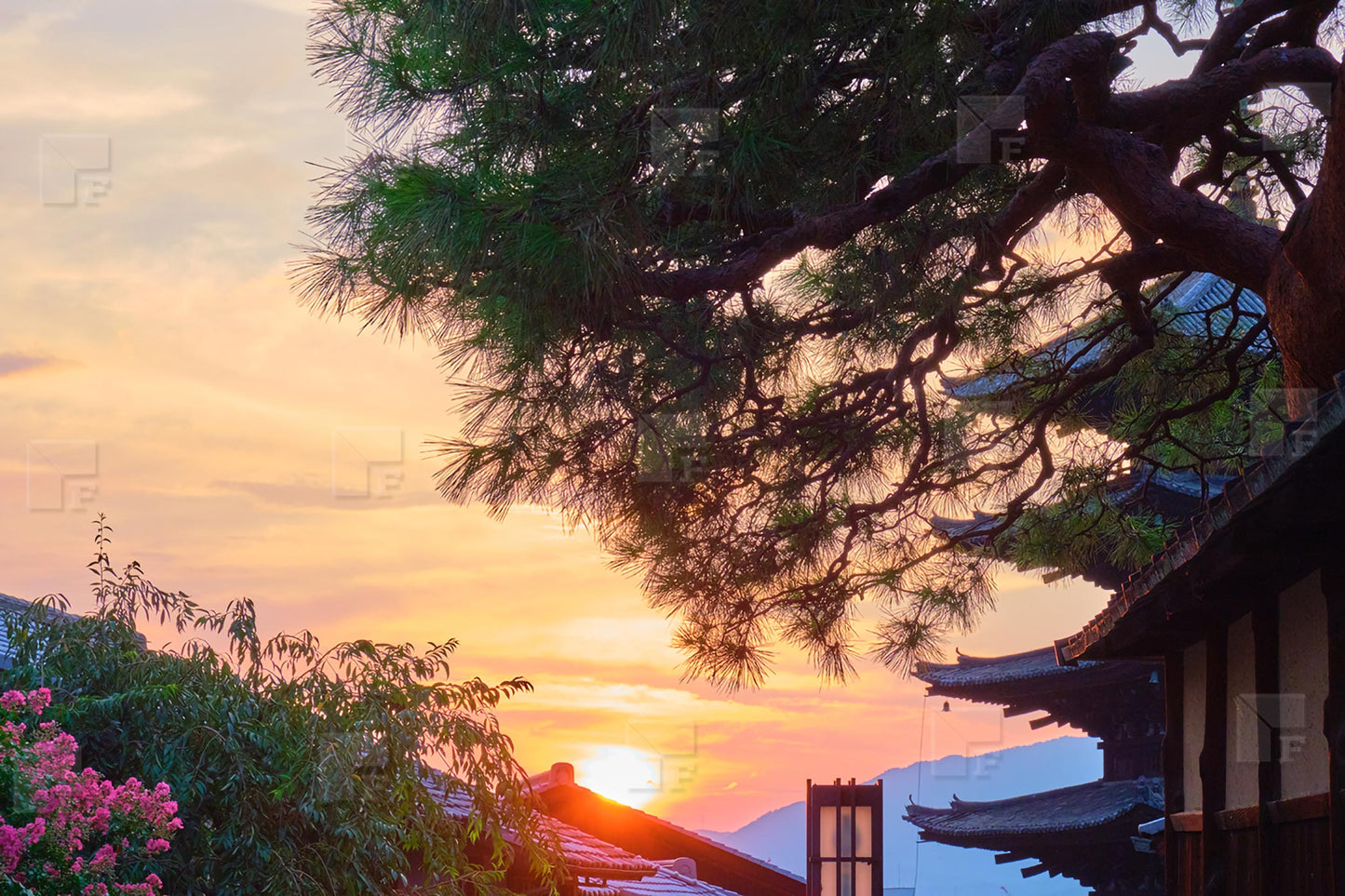 Tramonto al Tempio di Toji - Kyoto