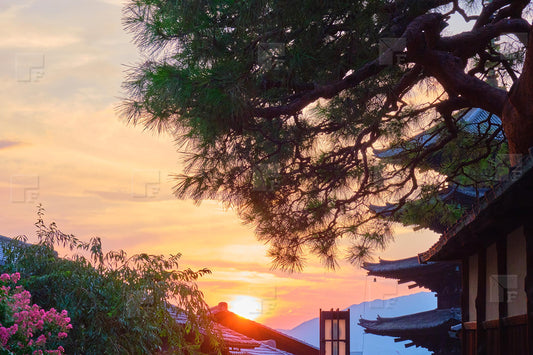 Coucher de soleil sur le temple Toji, Kyoto