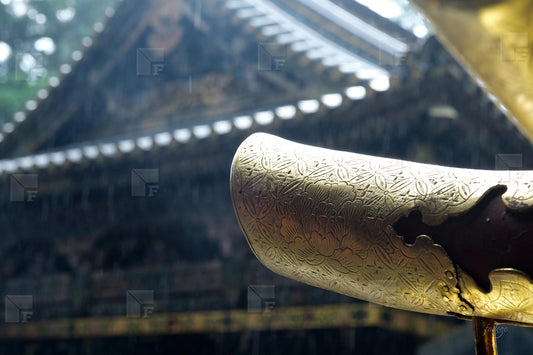 Detail of Nikko Toshogu Shrine