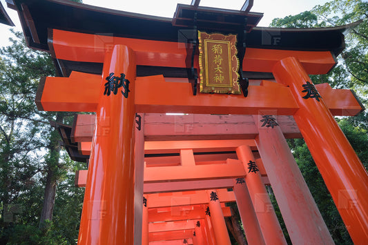 Le Torii du sanctuaire Fushimi Inari Taisha à Kyoto