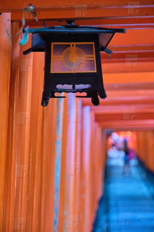 Il tunnel di Torii del Santuario Fushimi Inari Taisha a Kyoto