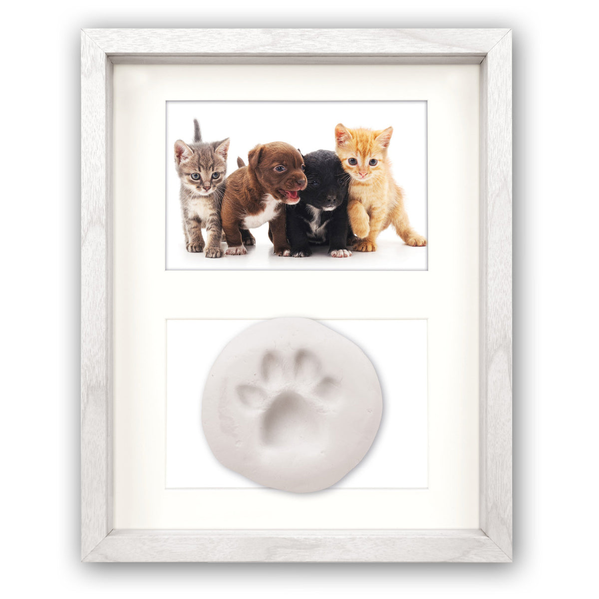 Cornice Pet Impronta Gand 10x15 cm | FRAZ0278
