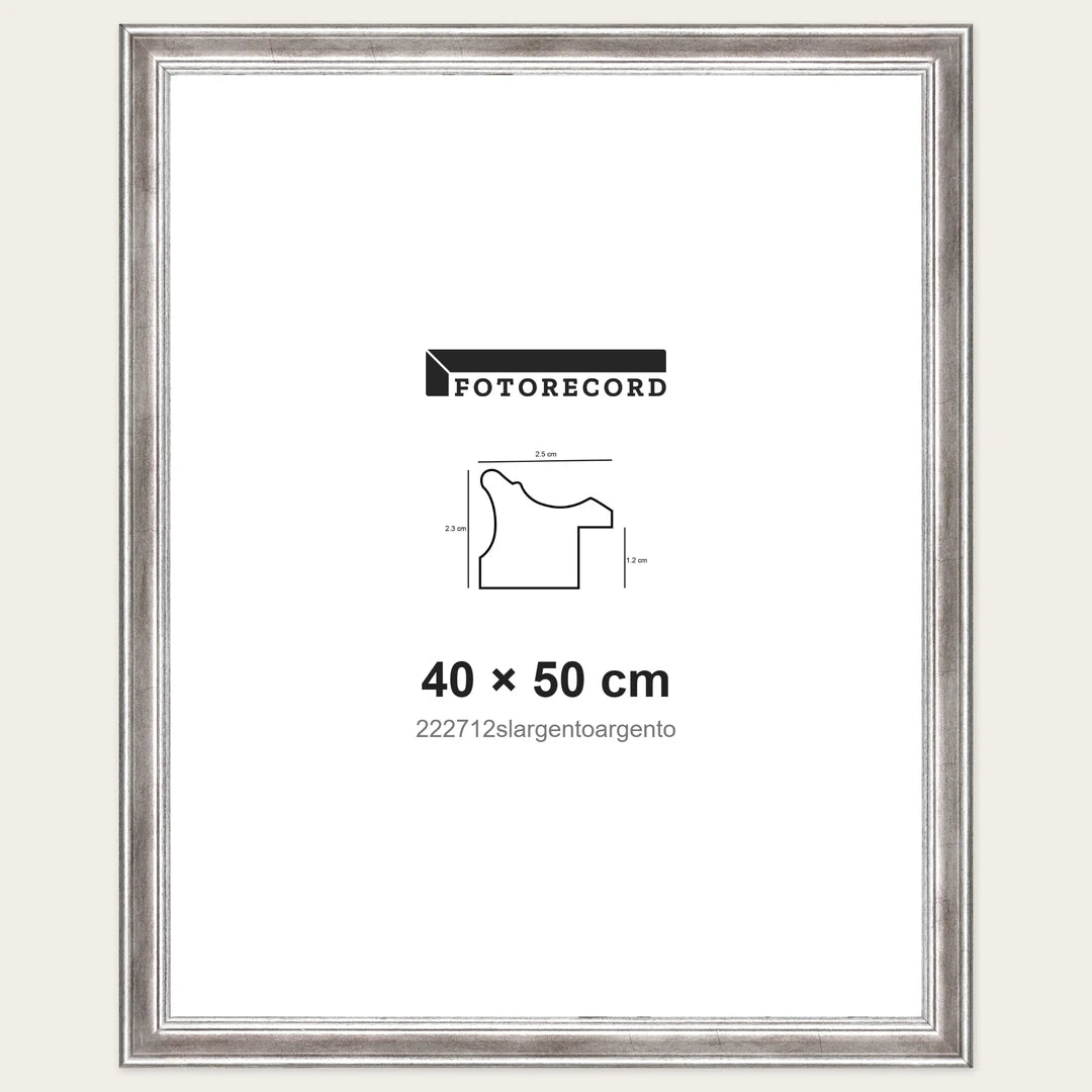 Kit Cornice Completa 40x50 cm — Argento Lucido | 222712slargentoargento
