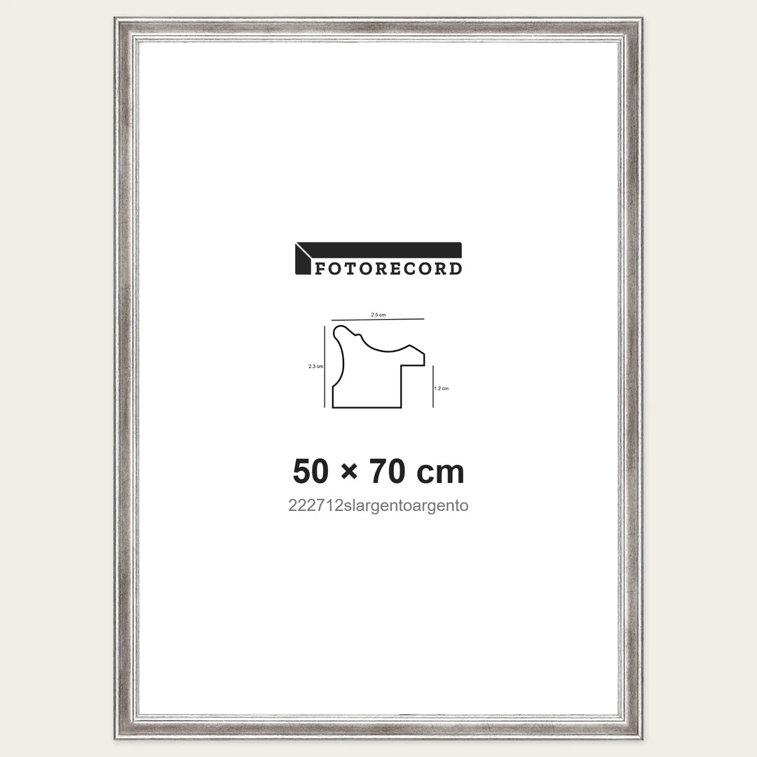 Kit Cornice Completa 50x70 cm — Argento Lucido | 222712slargentoargento