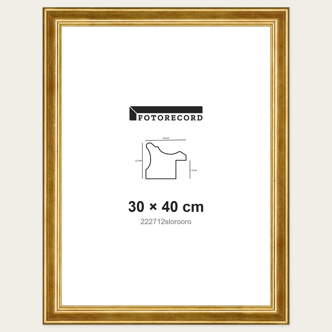 Kit Cornice Completa 30x40 cm — Oro Lucido | 222712slorooro