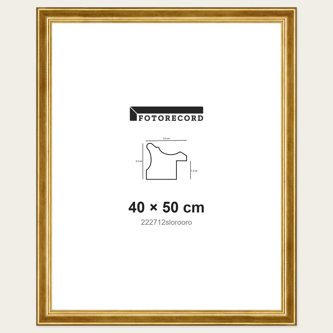 Kit Cornice Completa 40x50 cm — Oro Lucido | 222712slorooro