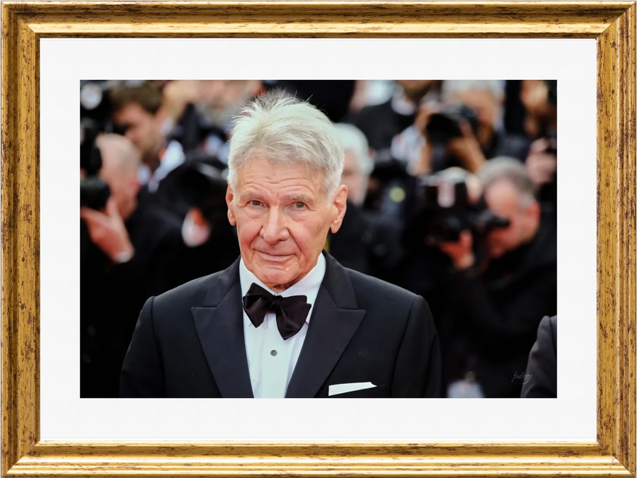 Harrison Ford, Red Carpet — Fabrizio de Gennaro
