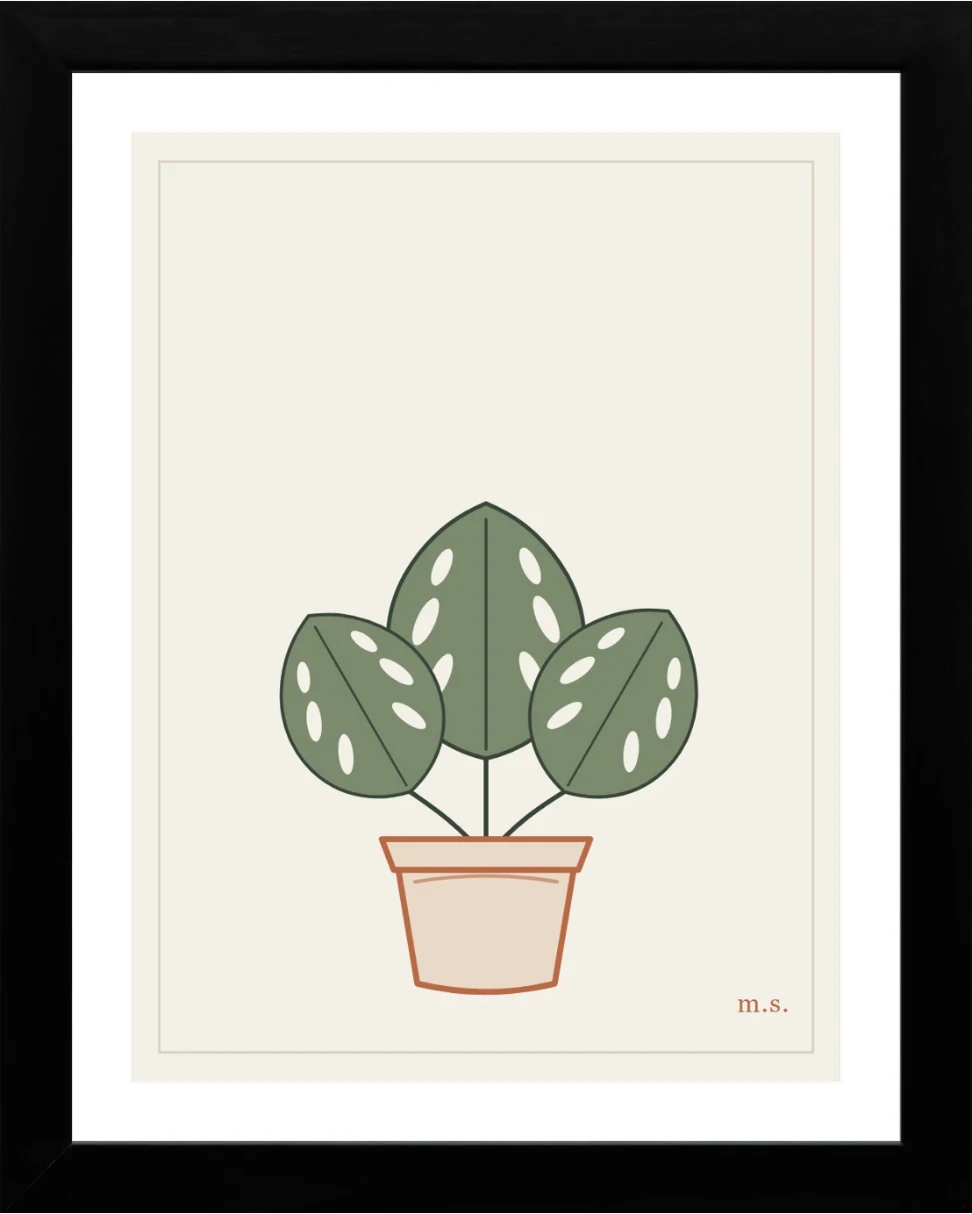 Monstera, mattina — Marta Sartori