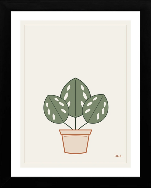 Monstera, mattina — Marta Sartori