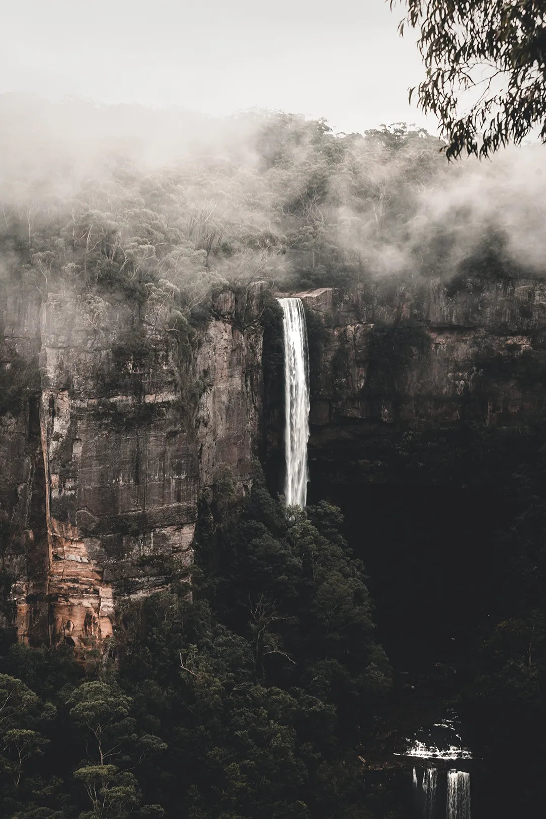 Cascata nel Canyon Nebbioso — Foresta Pluviale | Stampa d’Autore Filippo Mondello | 0017
