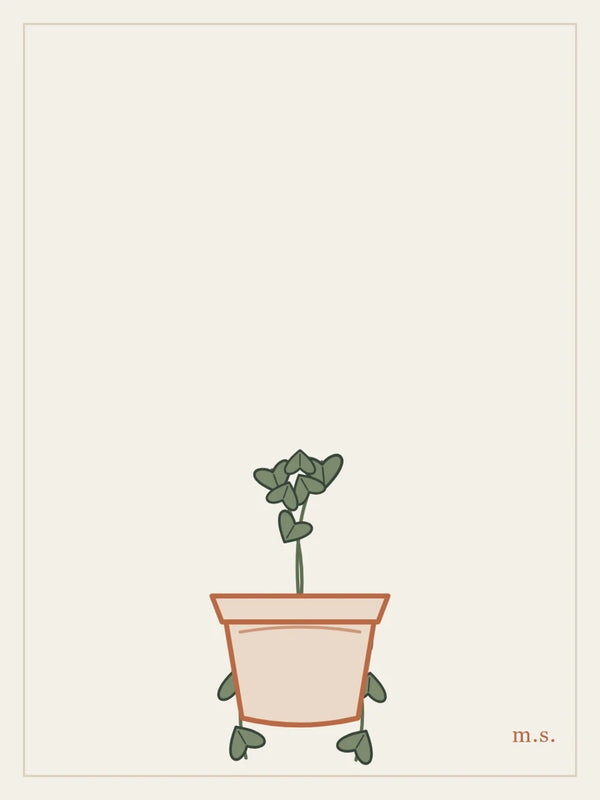 Pothos che cade